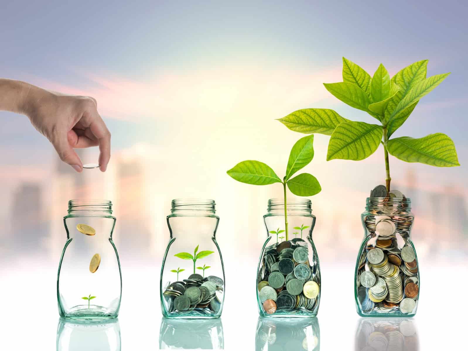 Positive end of year news for the fund