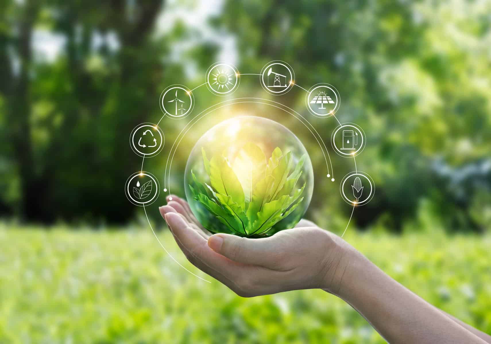 How Minerva Money Management’s sustainability credentials benefit investors